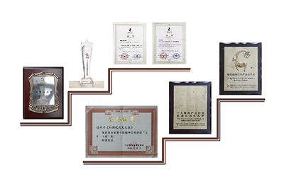 獲獎榮譽_湖南漫聯卡通文化傳媒